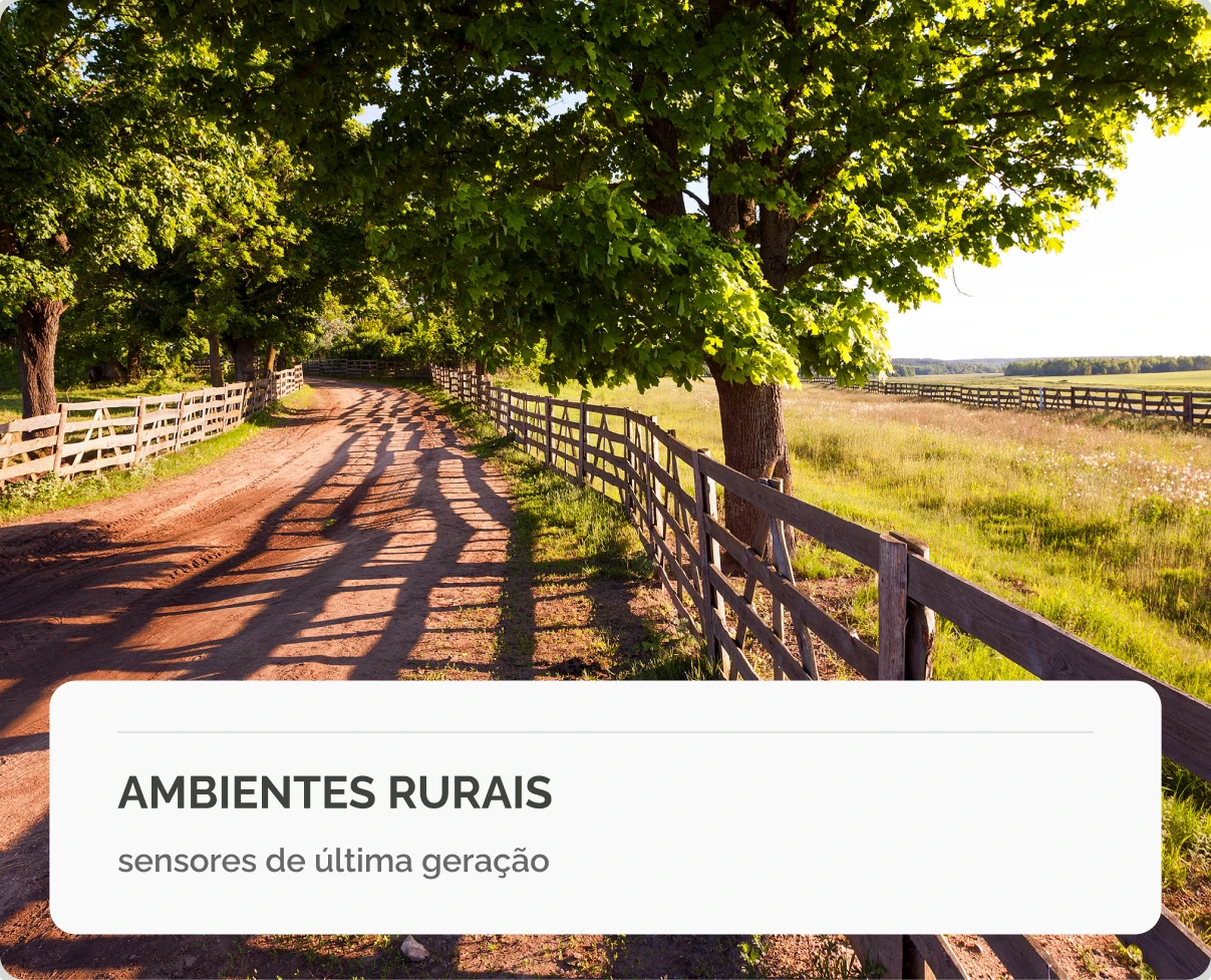 Ambientes Rurais